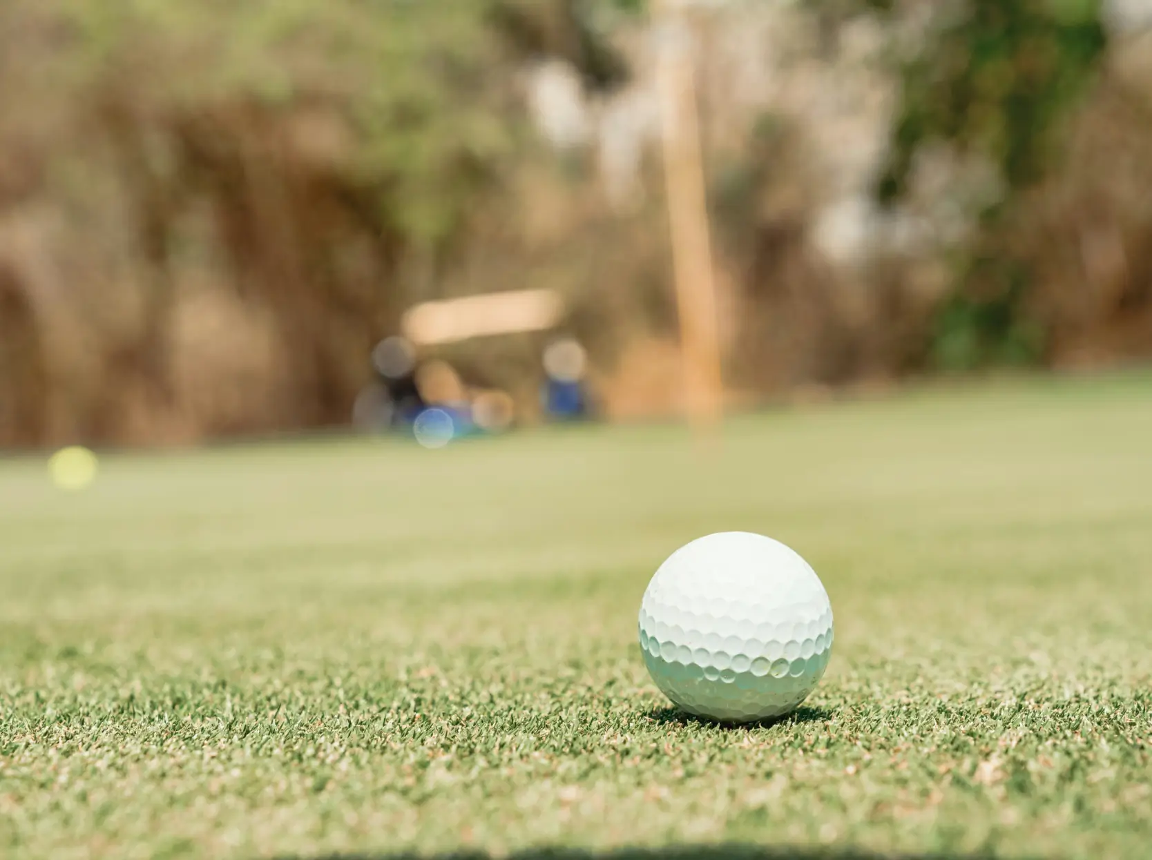 A golf ball sitting on a green at a golf course